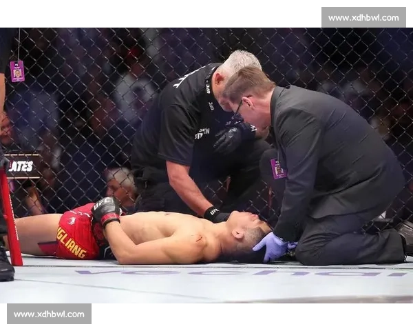 克罗地亚黑马德利亚首秀 KO 迪布拉 一拳改写 UFC 重量级格局 克罗地亚黑马德利亚首秀 KO 迪布拉 一拳改写 UFC 重量级格局