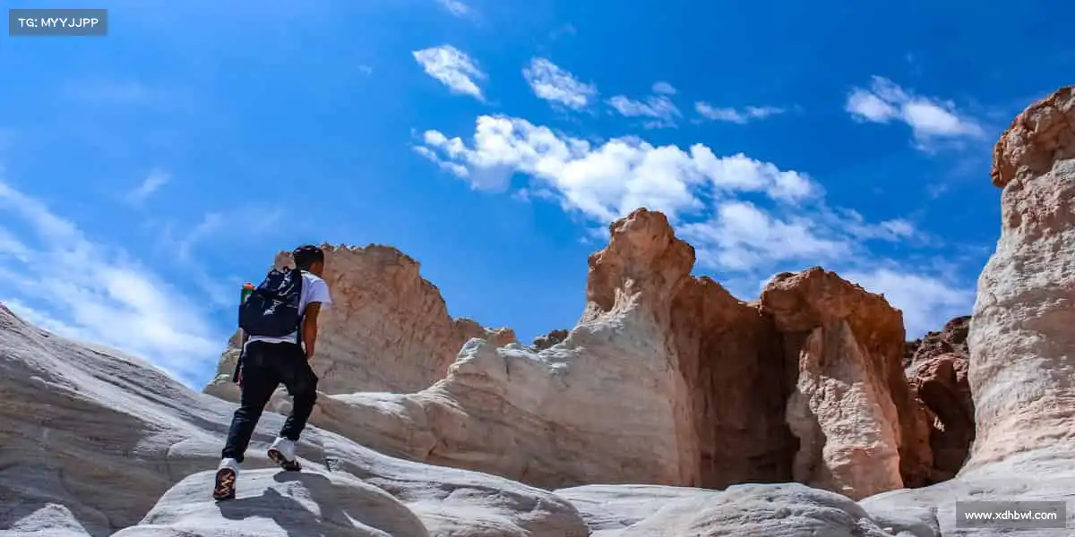 我们的品牌价值